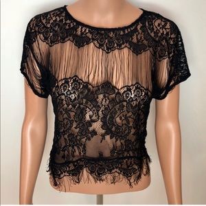 Kimchi Blue Lace Black Short Sleeve Crop Shirt
